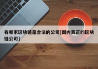 有哪家区块链是合法的公司[国内真正的区块链公司]