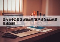 国内首个公益区块链公司[区块链在公益慈善领域应用]